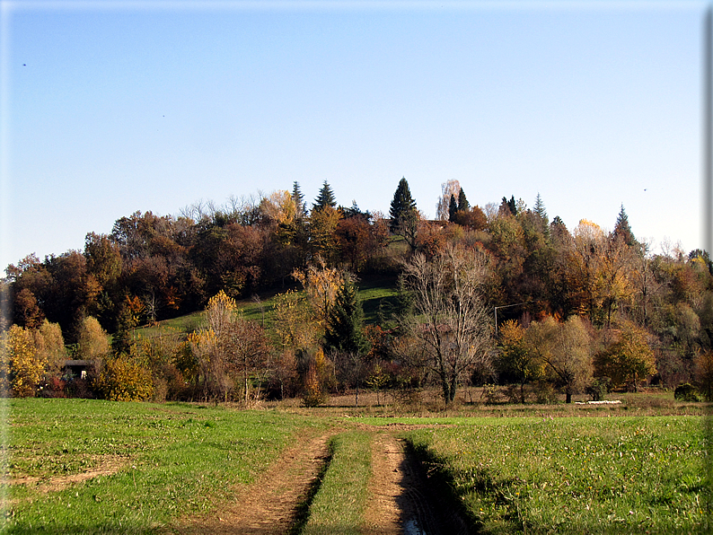 foto Paesaggi Autunnali tra le colline Fontesi